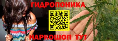 кокс Донской