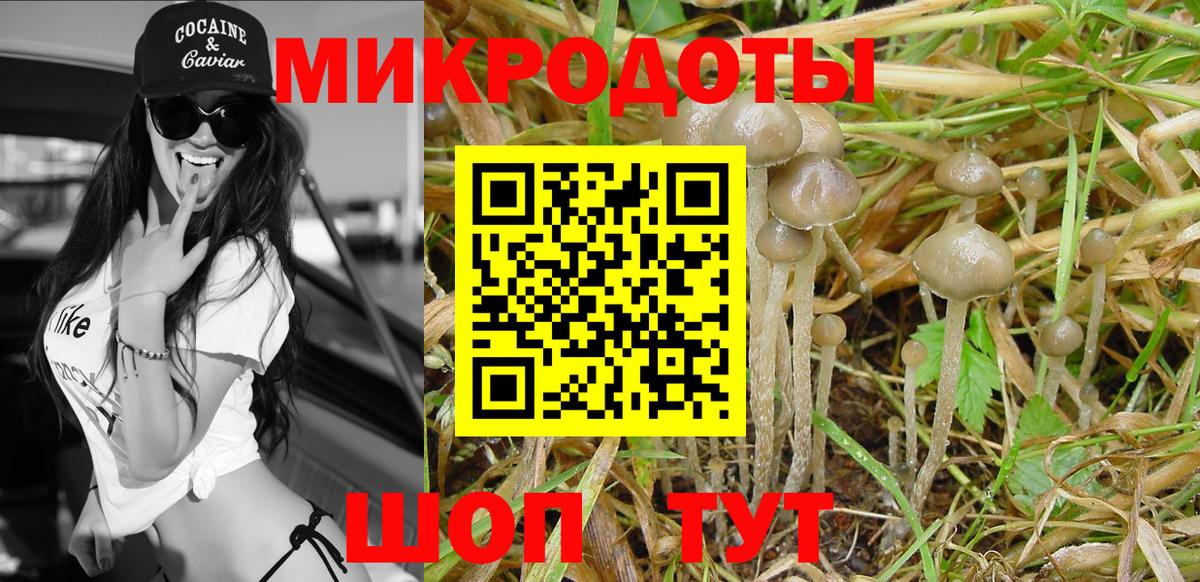 Псилоцибиновые грибы Psilocybe  Вход с VPN  Минеральные Воды 